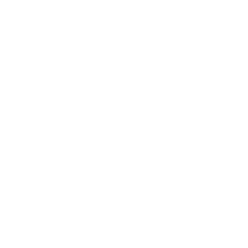 Fissure